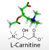 Как правильно принимать l-карнитин?